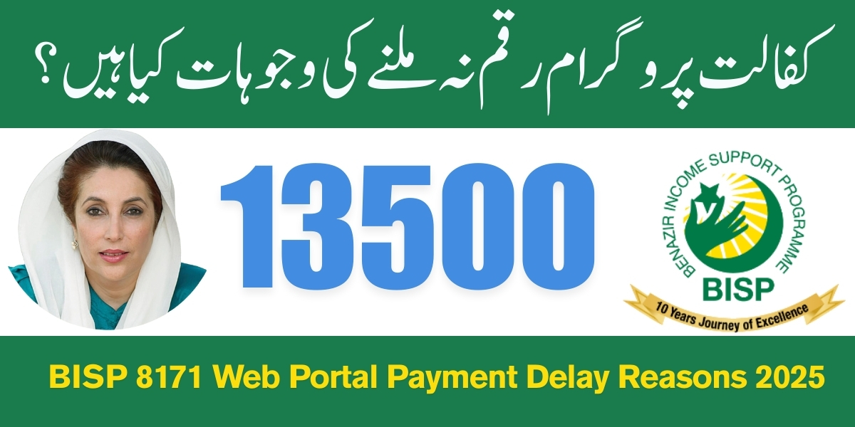 BISP 8171 Web Portal Payment Delay Reasons