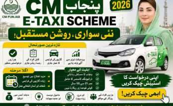 CM Punjab E-Taxi Scheme 2026